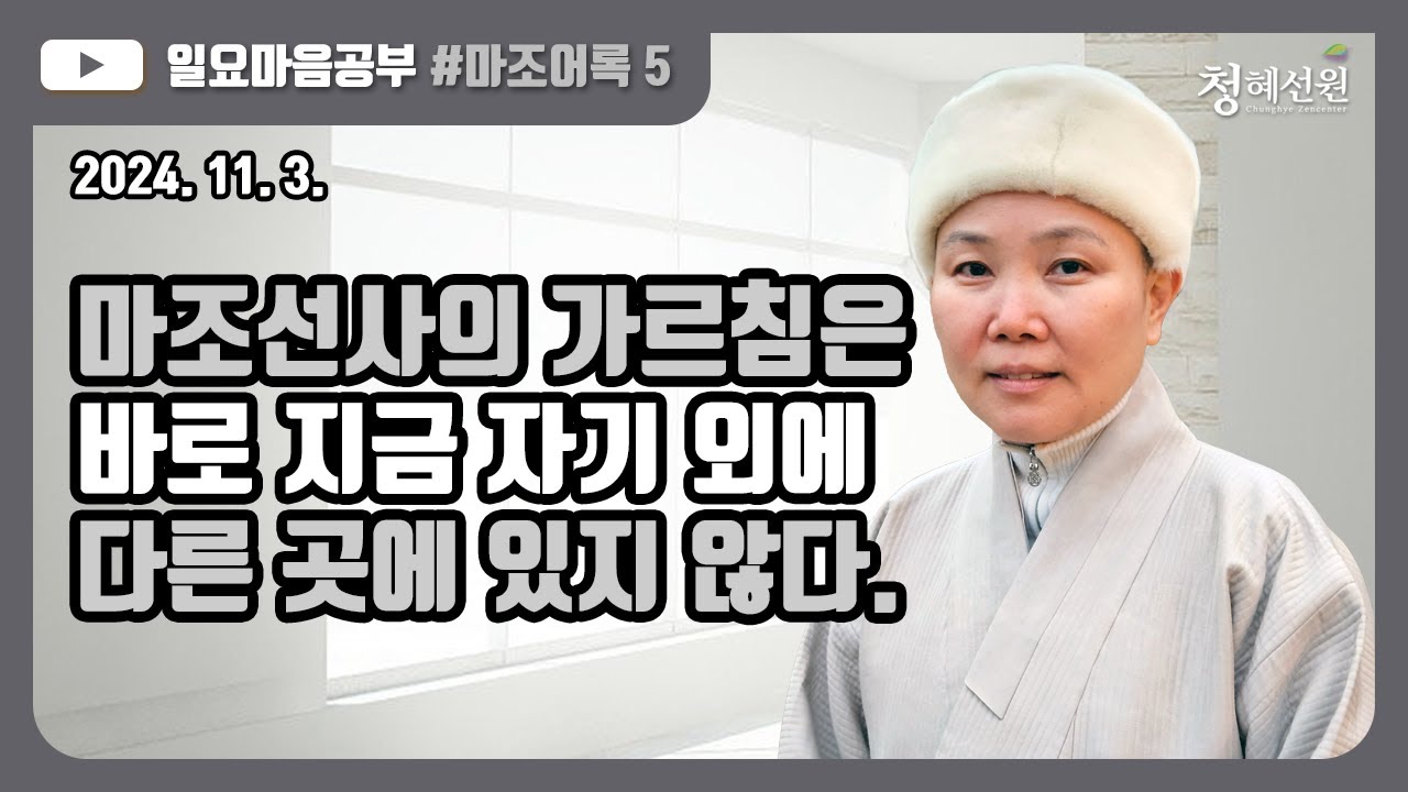2024.11.03. [청혜선원] 일요공부ㅣ마조어록 제5회 “마조선사의 가르침은 바로 지금 자기 외에 다른 곳에 있지 않다.