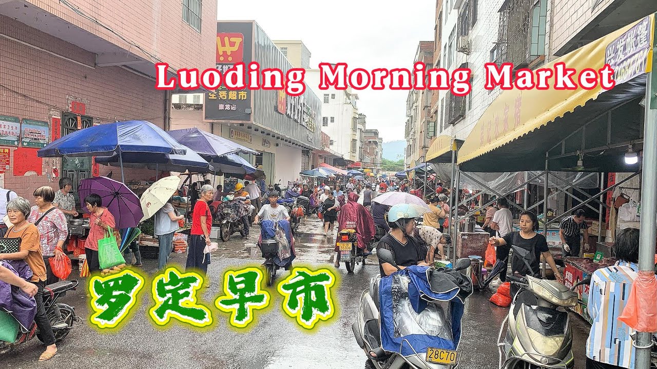 廣東罗定早市！特色炸芋頭2元！縐紗魚腐的味道一絕！家鄉古粽，白糕！百聞不如一見的大榨花生油！美味紫蘇鍋鴨！這樣炒出豬雜美食！素龍墟！