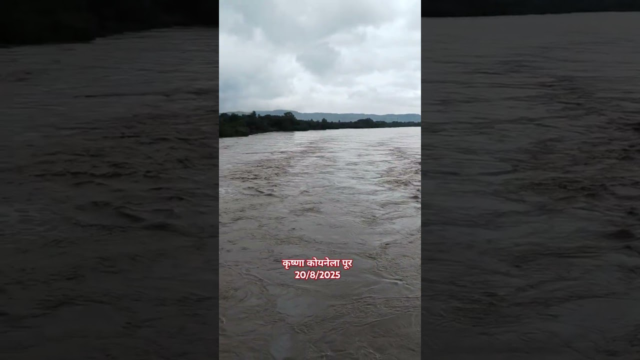 कराड - कृष्णा कोयना नदीला पूर | #floodedkrishnakoyna #krishnariver #koynariver #karad #2025 #shorts