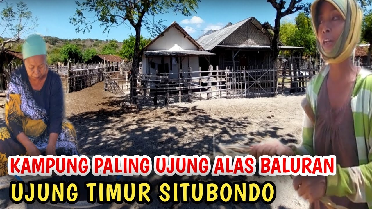 Kampung Alas Baluran, Ujung Timur Situbondo