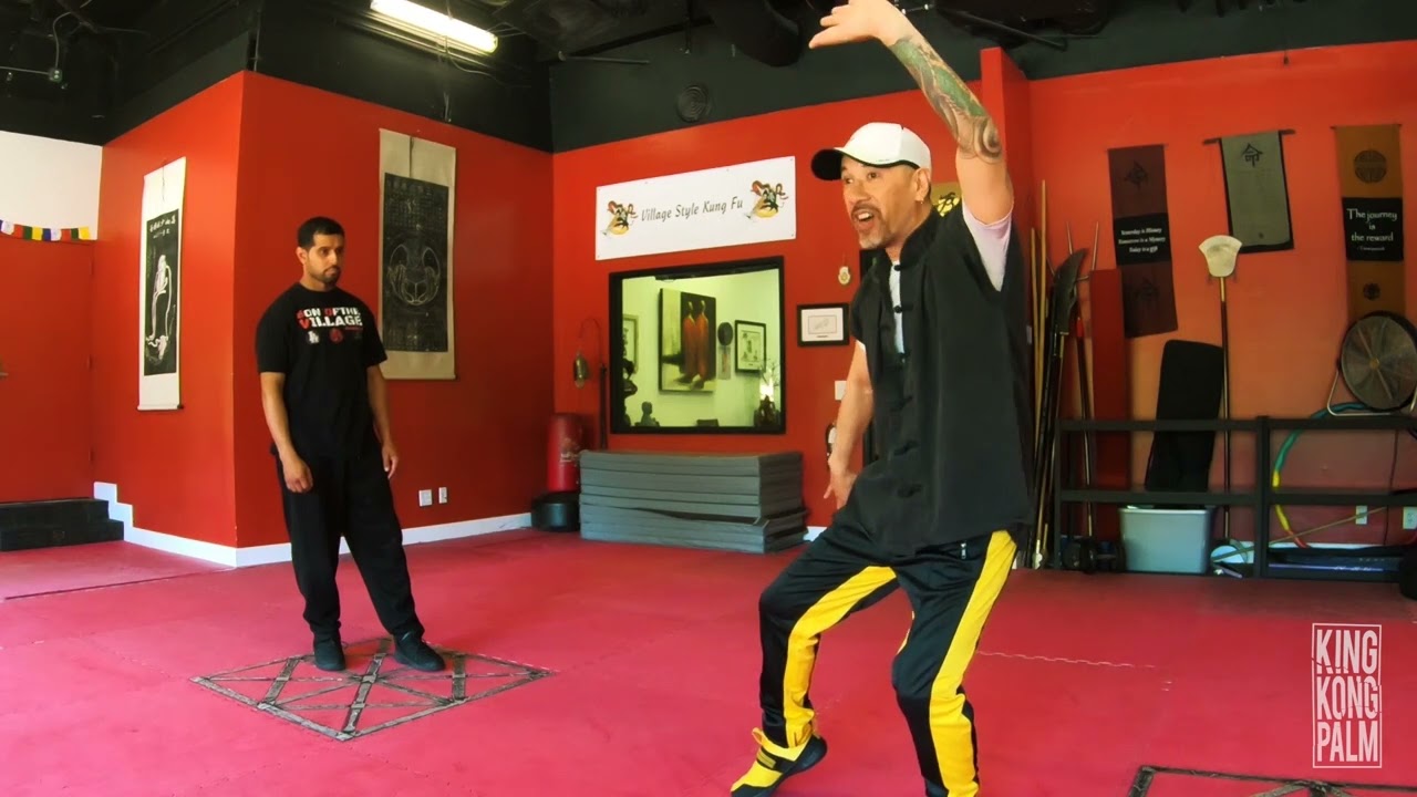 Kung Fu Combat: Crane Style