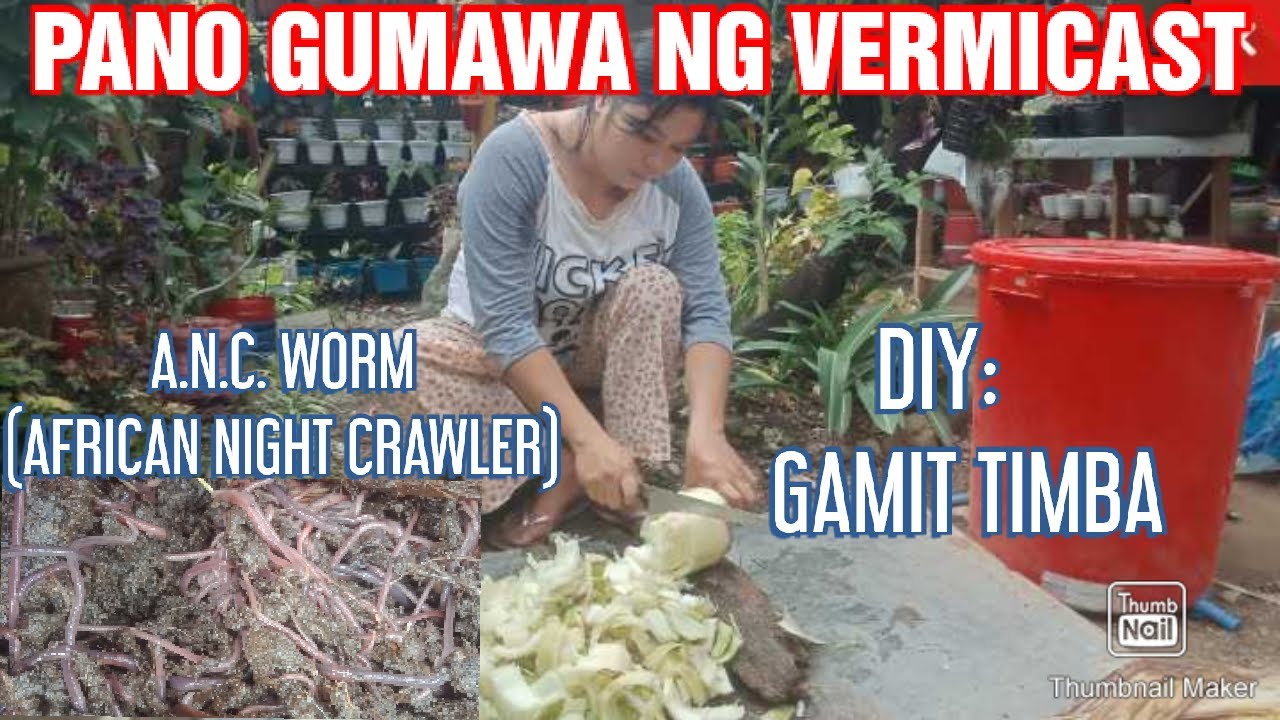 DIY: PANO GUMAWA NG VERMICAST GAMIT TIMBA..