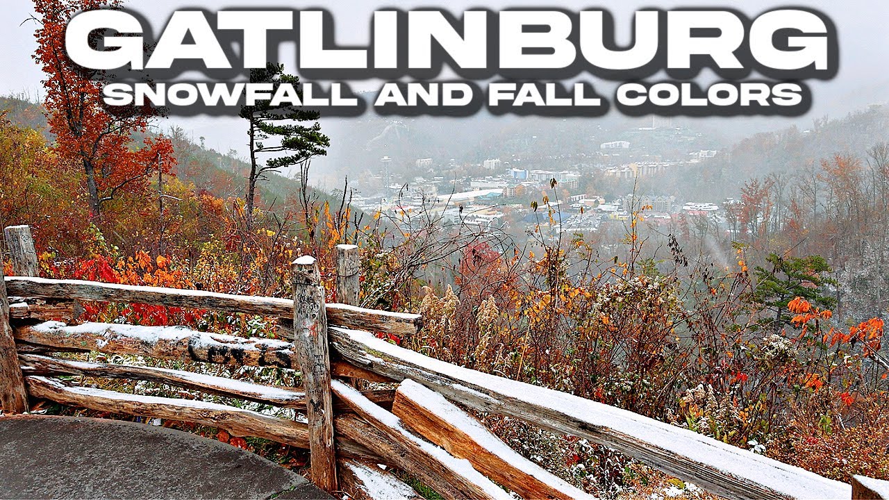 Gatlinburg, TN: SNOWFALL AND FALL COLOR| November 10th, 2025