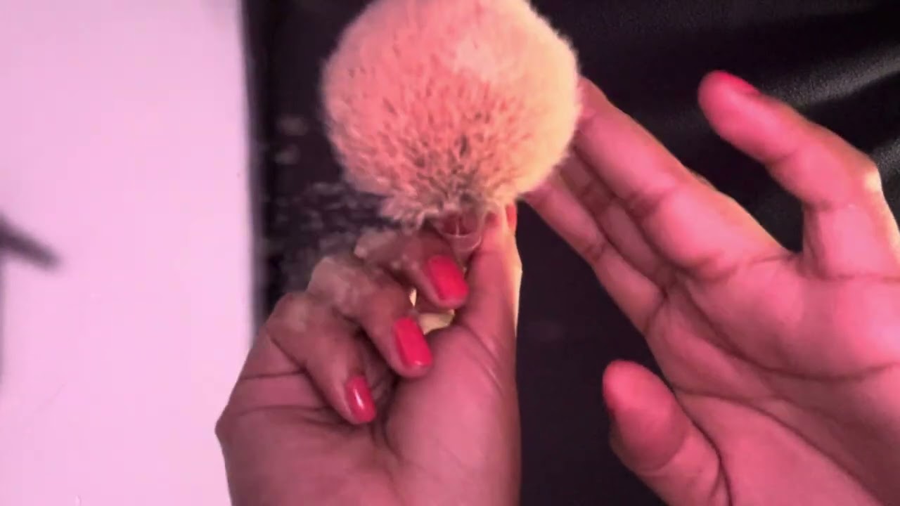 Te maquillo💄 ASMR CASERO, ASMR VISUAL✨🫰🏽