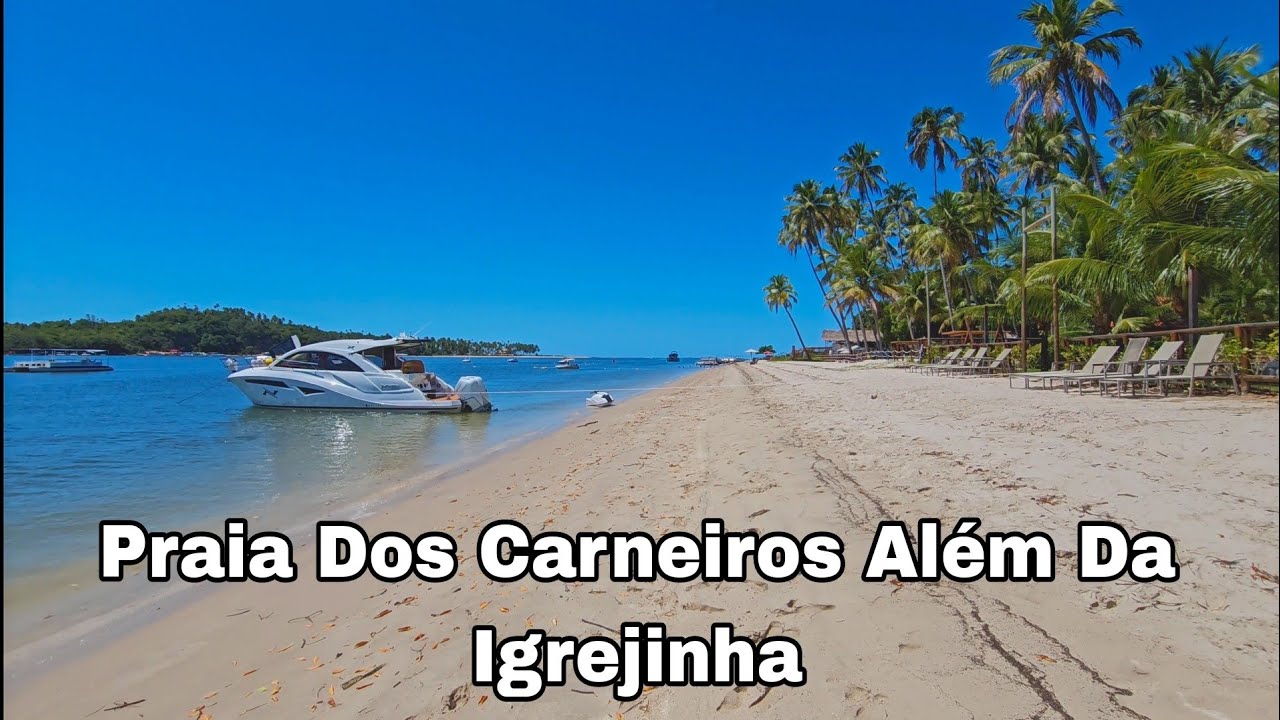 Praia Dos Carneiros Pernambuco Toda Extensão Da Praia