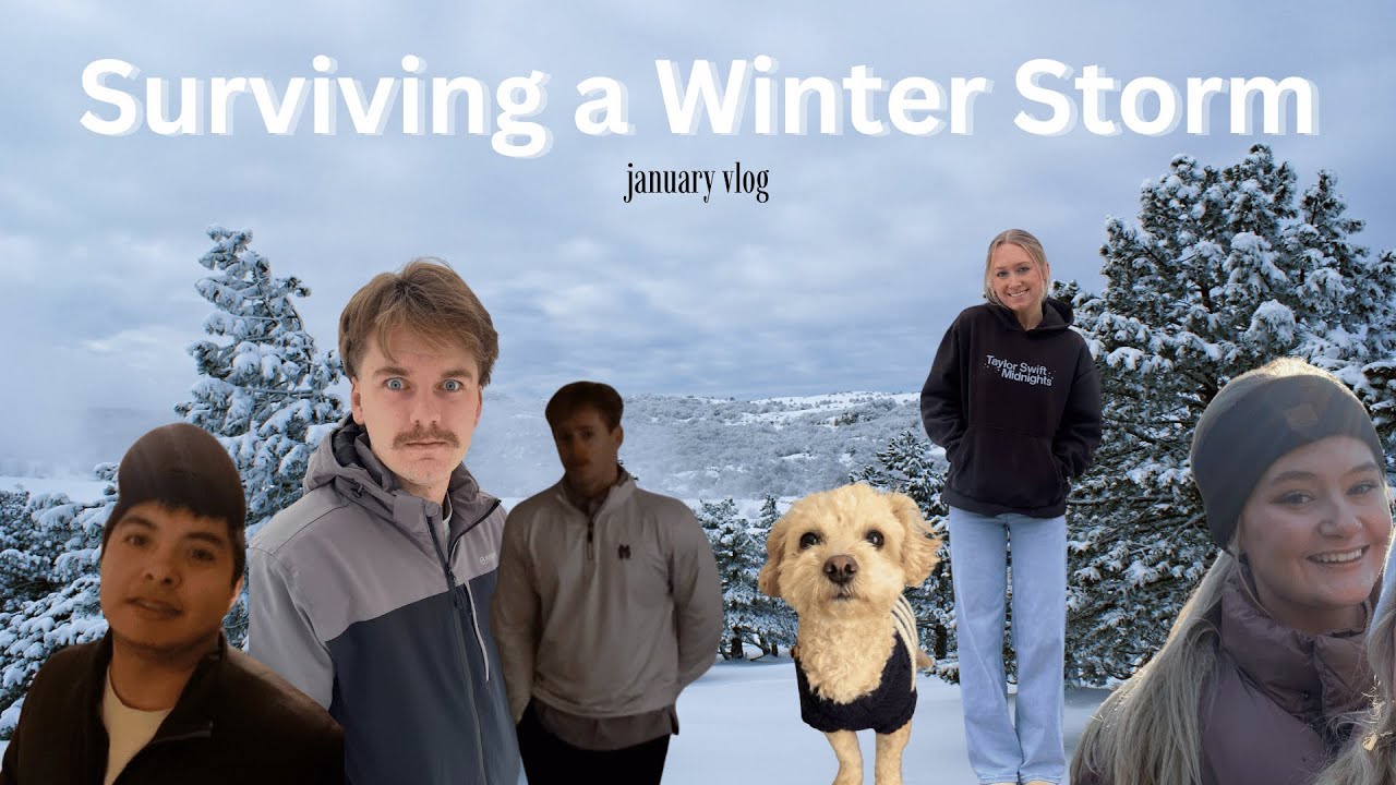 SURVIVING A WINTER STORM (january vlog)