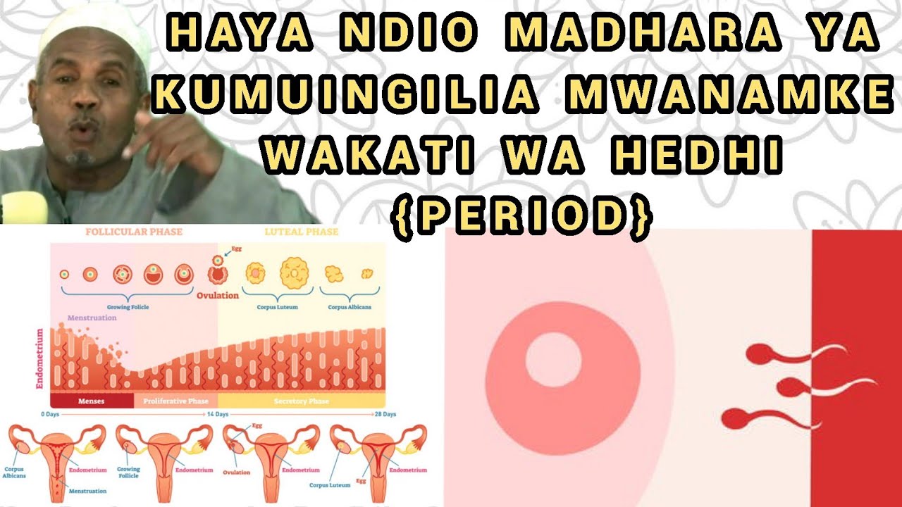 Haya Ndio Madhara ya Kumuingilia Mwanamke Wakati wa Hedhi {Period} | Ustadh Muhammad Al-Beidh