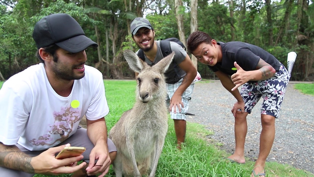 Currumbin Wildlife Sanctuary