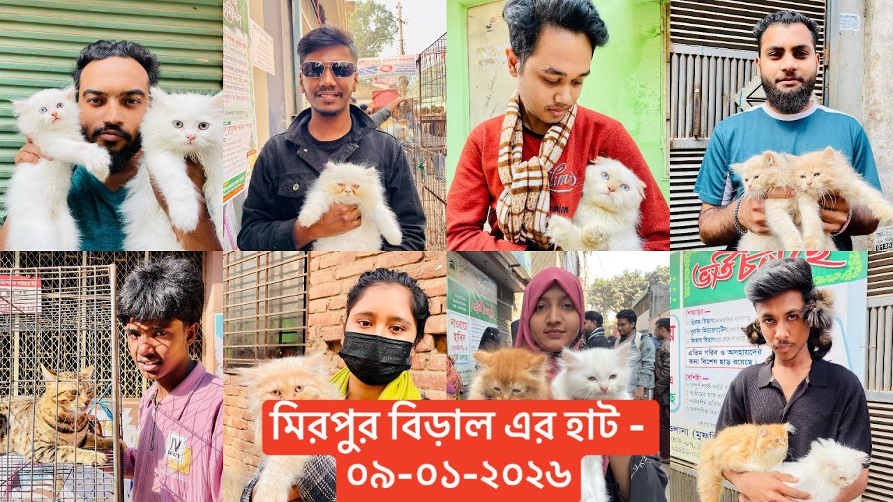 বিদেশি বিড়ালের দাম | মিরপুর ১ বিড়ালের হাট-৯ -১ -২ ০ ২ ৫ | 