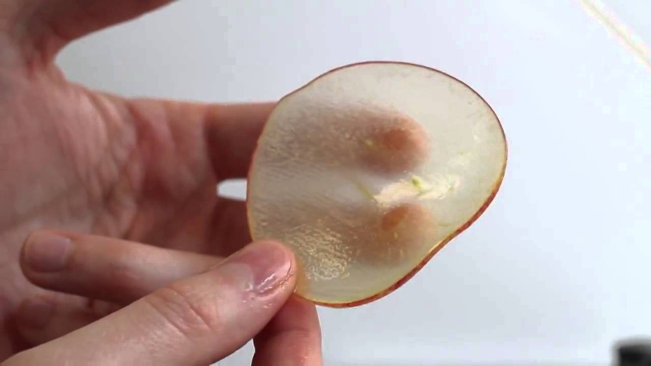 Sammic Creations Apple Amber