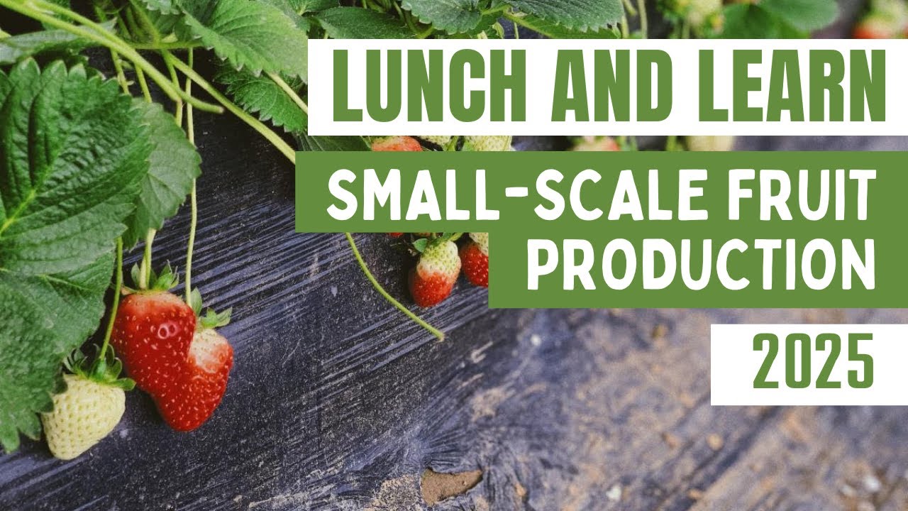 Lunch and Learn: Small Scale Fruit Production (2025)