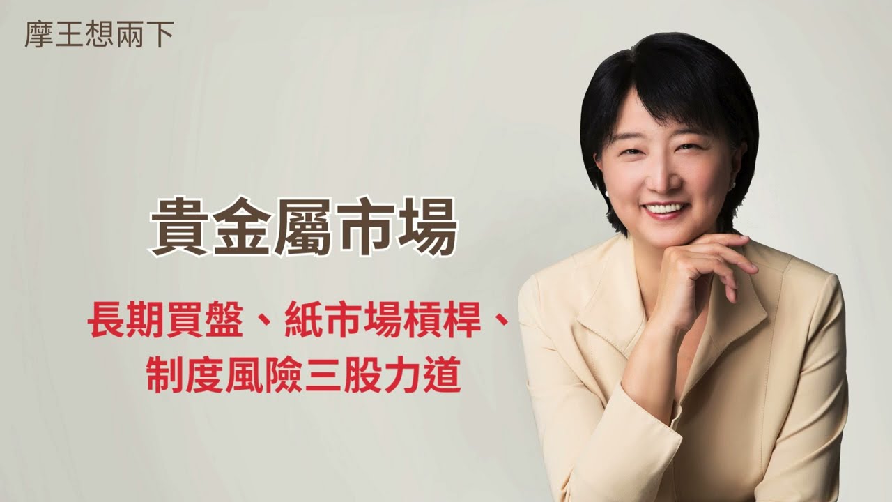 【摩王想兩下】貴金屬市場—長期買盤、紙市場槓桿、制度風險三股力道—長期買盤、紙市場槓桿、制度風險三股力道｜#摩王 #王鴻嬪