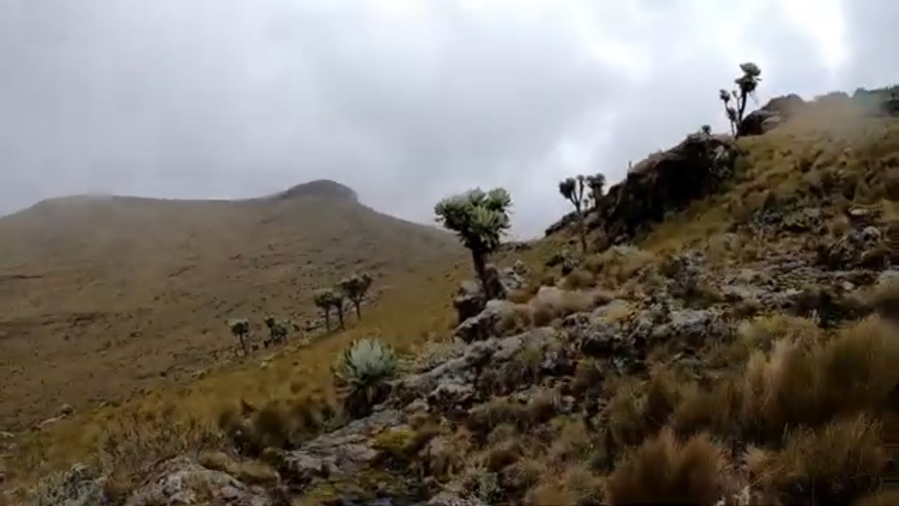 Mount Satima (Wandare Route)