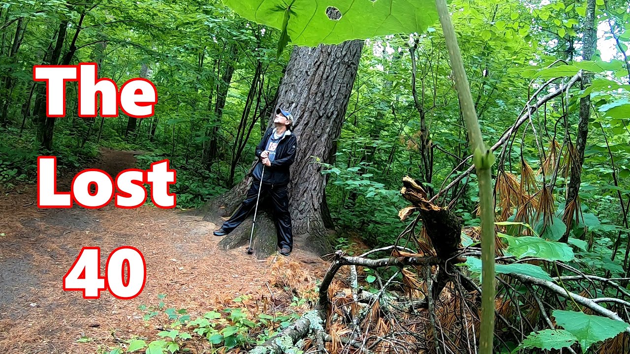 Out on a summer hike at the Minnesota Lost 40 Scientific and Natural Area.