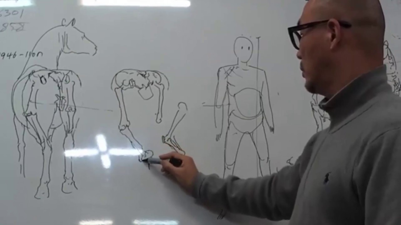 Lecture of anatomy and perspective  Kim Jung Gi and Insang Hwang