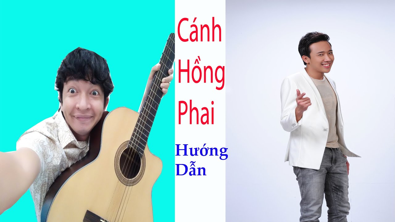 Cánh Hồng Phai - Trấn Thành - Hướng Dẫn Guitar