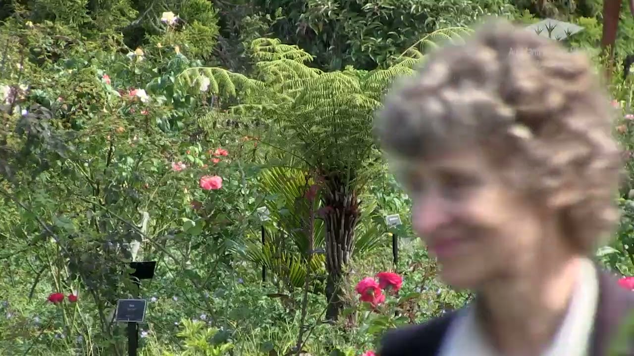 Rose Garden Overview 2024