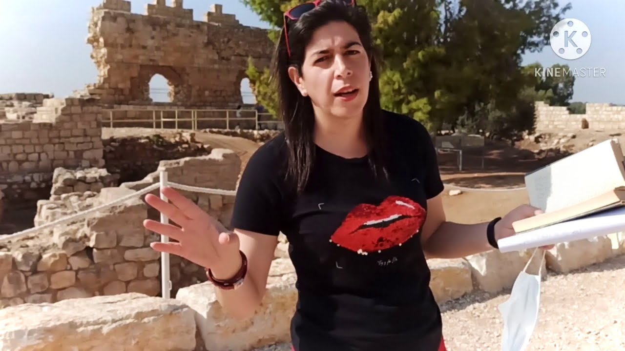 סיפורו של תל אפק