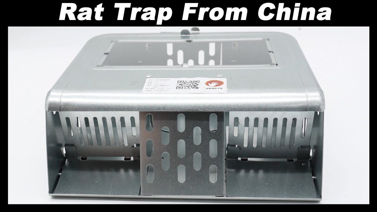 A New Rat Trap From China - Will It Work?    Mousetrap Monday