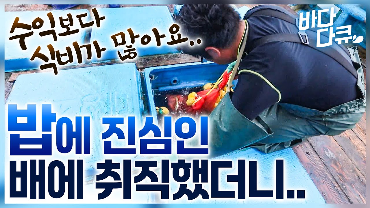 진짜 계속 드시는 울릉도 선장님.. 밥 하나는 기가 막힌 독도새우잡이 배에 취직했더니 / #바다다큐