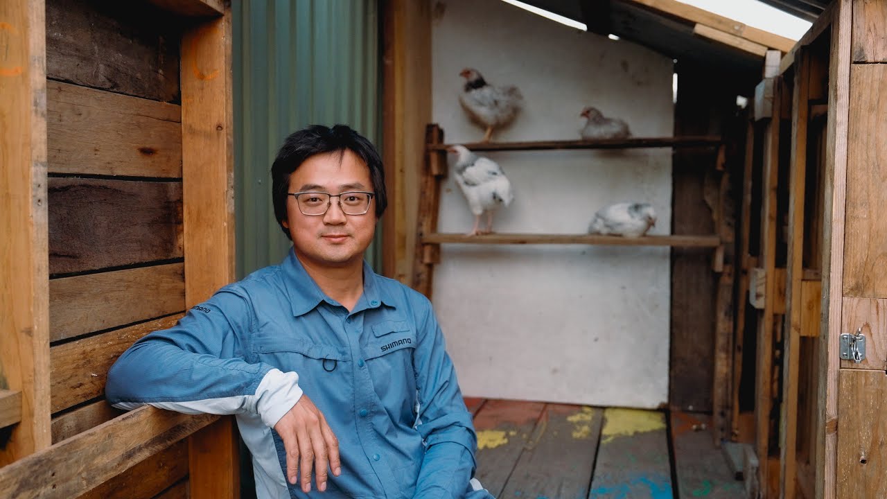 Chook House/Chicken Coop On A Budget: Turning Scrap Pallets into a Backyard Hen Haven 废旧托盘DIY后院豪华鸡窝