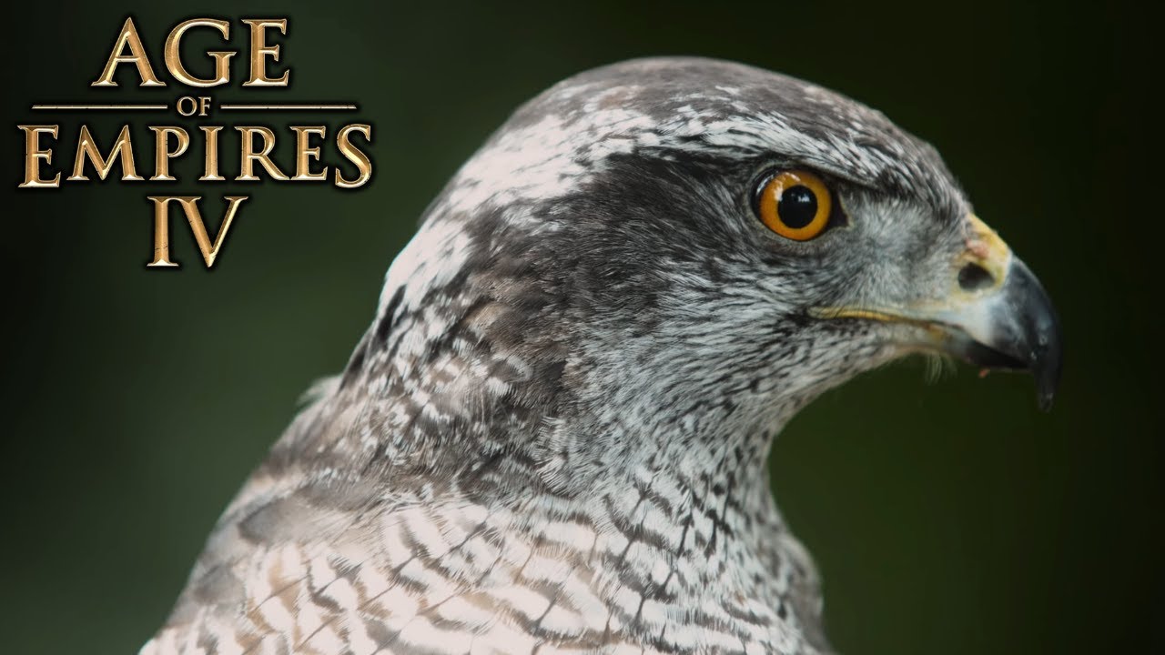 Age Of Empires 4 - FALCONRY & HAWKING (Bonus Video)