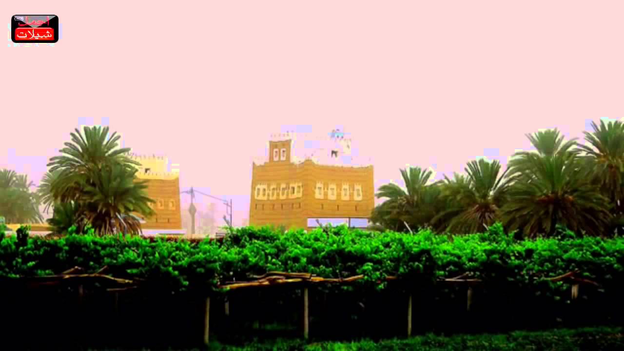 شيلة صوت يام ايشلها والكيف طايب    ادا صـوت يـــام