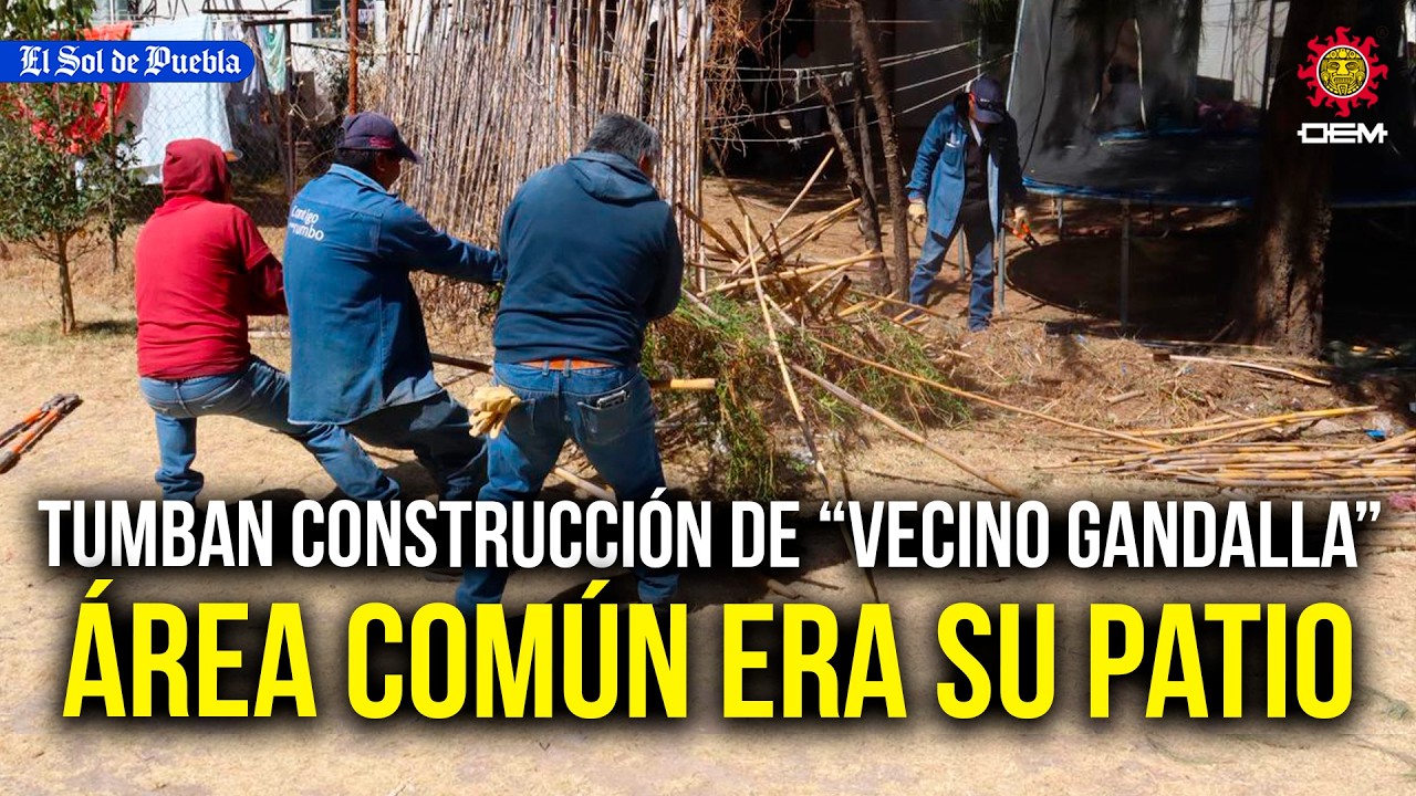Tumban construcción de “vecino gandalla”… transformó un área común en su patio ⚠️
