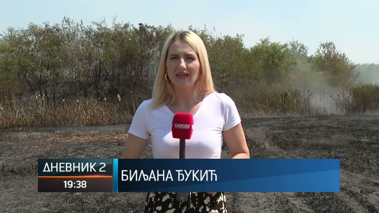 Požar kod Modriče ugašen i stavljen pod kontrolu; Kakve su posljedice?