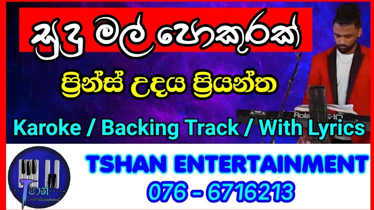 Sudu mal pokurak / Karoke / Without Voice / Backing Track / Prince Udaya Priyantha / සුදුමල් පොකුරක්