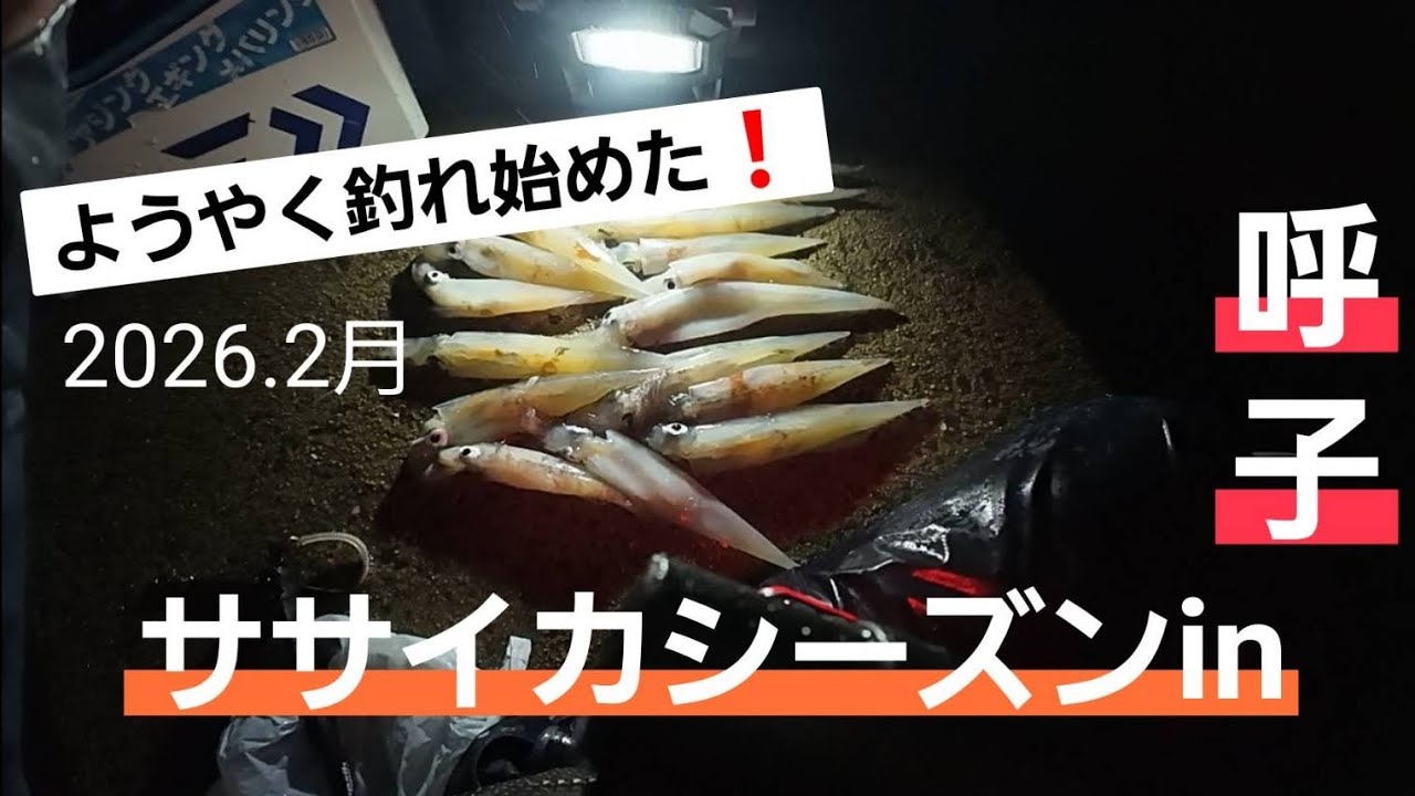 2026年2月　今年もやってきた！イカの町「呼子」でササイカ釣り！