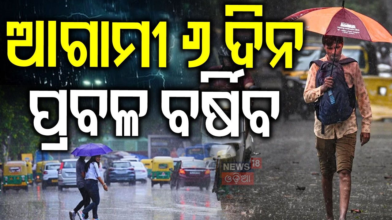ଆଗାମୀ ୬ ଦିନ ପ୍ରବଳ ବର୍ଷିବ ! Odisha Rain Alert: Orange Warning Issued for 9 Districts | Weather News