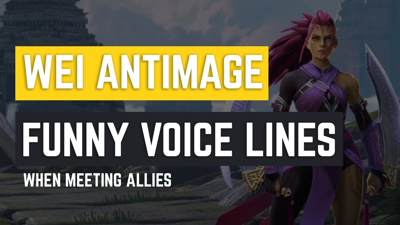 ALL ALLIES VOICE LINES | THE DISCIPLE'S PATH, ANTI-MAGE PERSONA : WEI