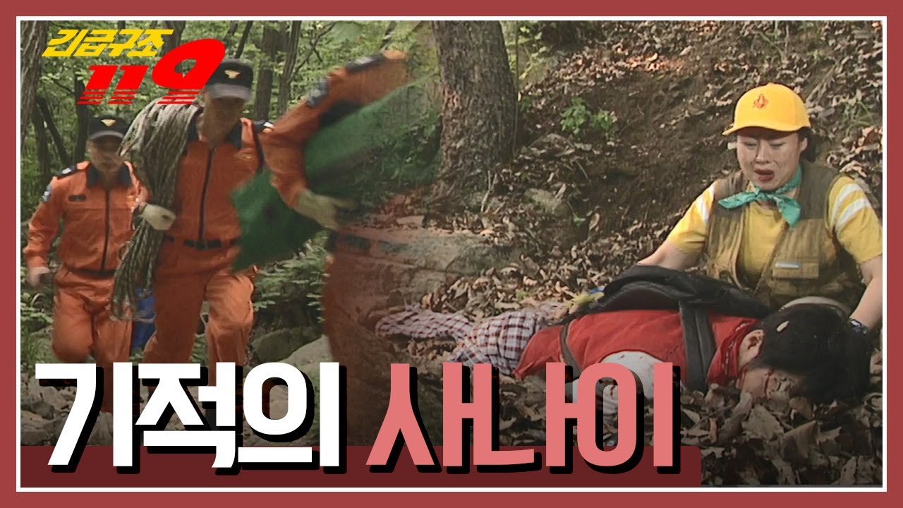 [긴급구조 119] 70m 절벽 아래로 떨어진 남자, 그가 목숨을 구할 수 있었던 이유는? '기적의 사나이' KBS 030603 방송