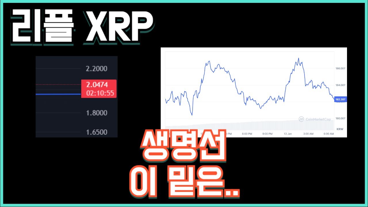 리플 XRP 생명선 이 밑은..