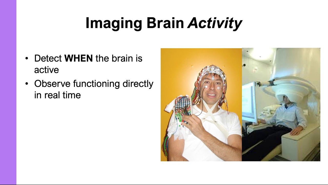 Research Methods in the Anatomy & Physiology of Personality