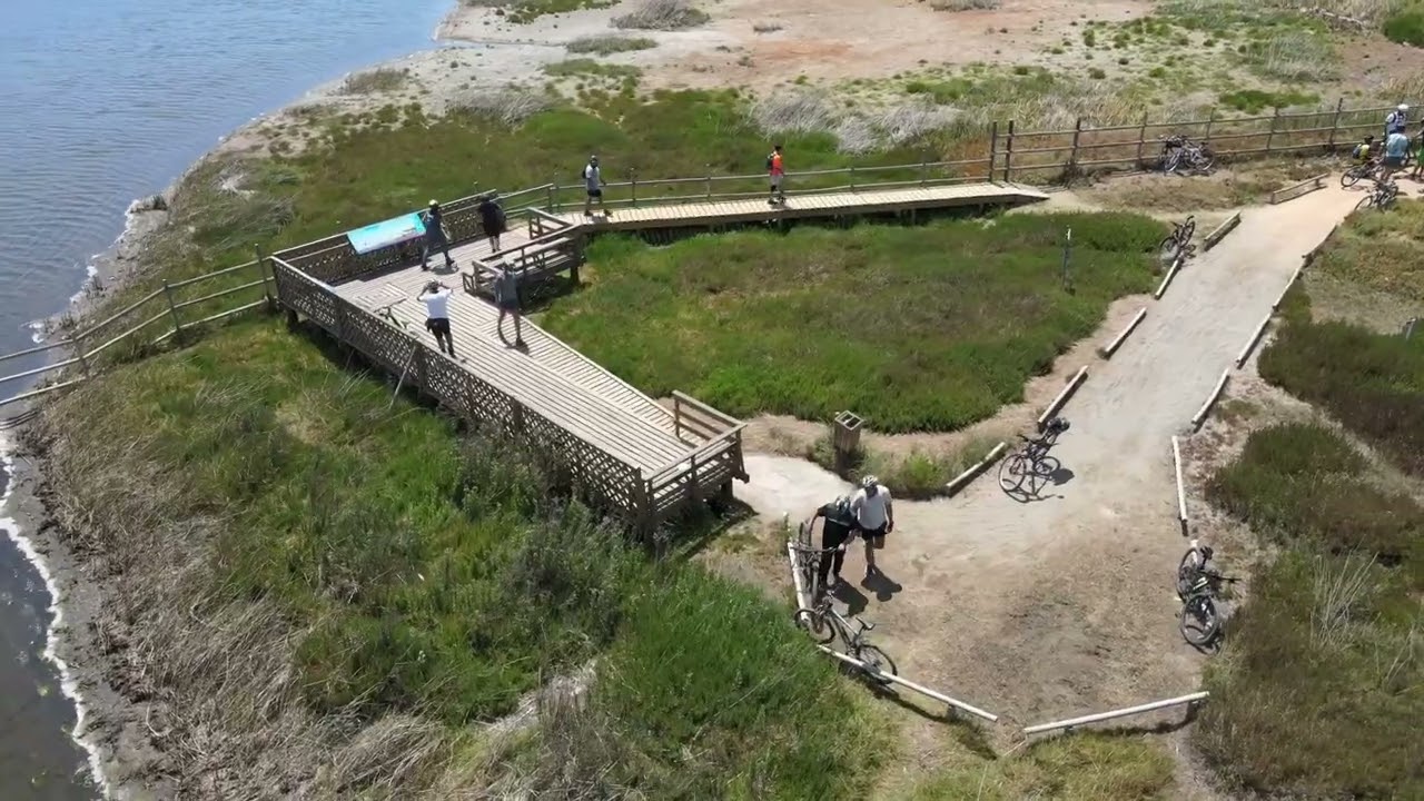 Humedal - Parque La isla - Con Con.