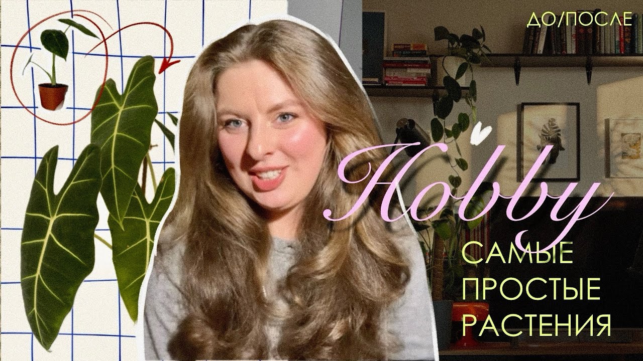 ДО / ПОСЛЕ растения пол года спустя | ТОП НЕПРИХОТЛИВЫХ РАСТЕНИЙ 