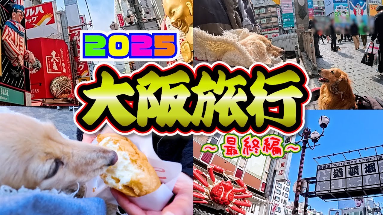 【ワンコと行く大阪旅行 最終編!!】最大の目的だった”祖母との再会”が実現!!浜松と九州、バラバラに住む孫家族と同時に会うことができて大喜びの祖母でした✨帰路に就く前に【道頓堀】に寄り道！(笑)