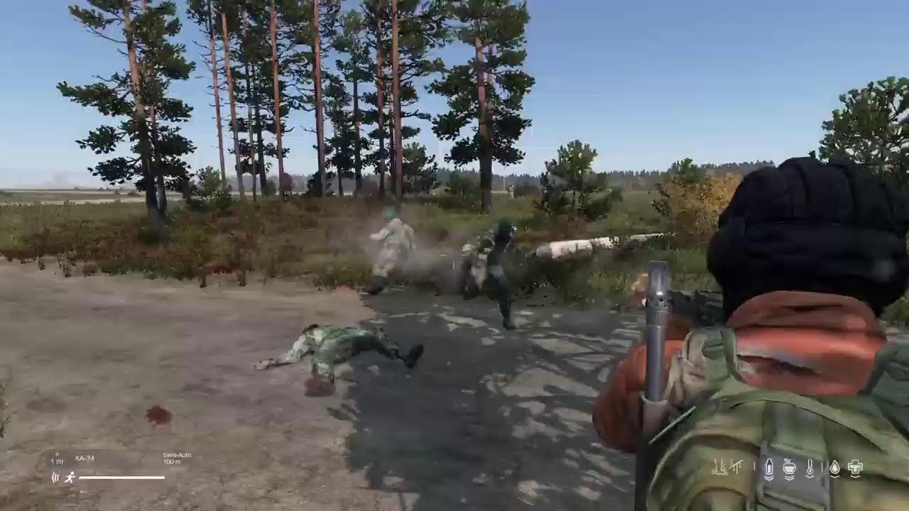 Dayz