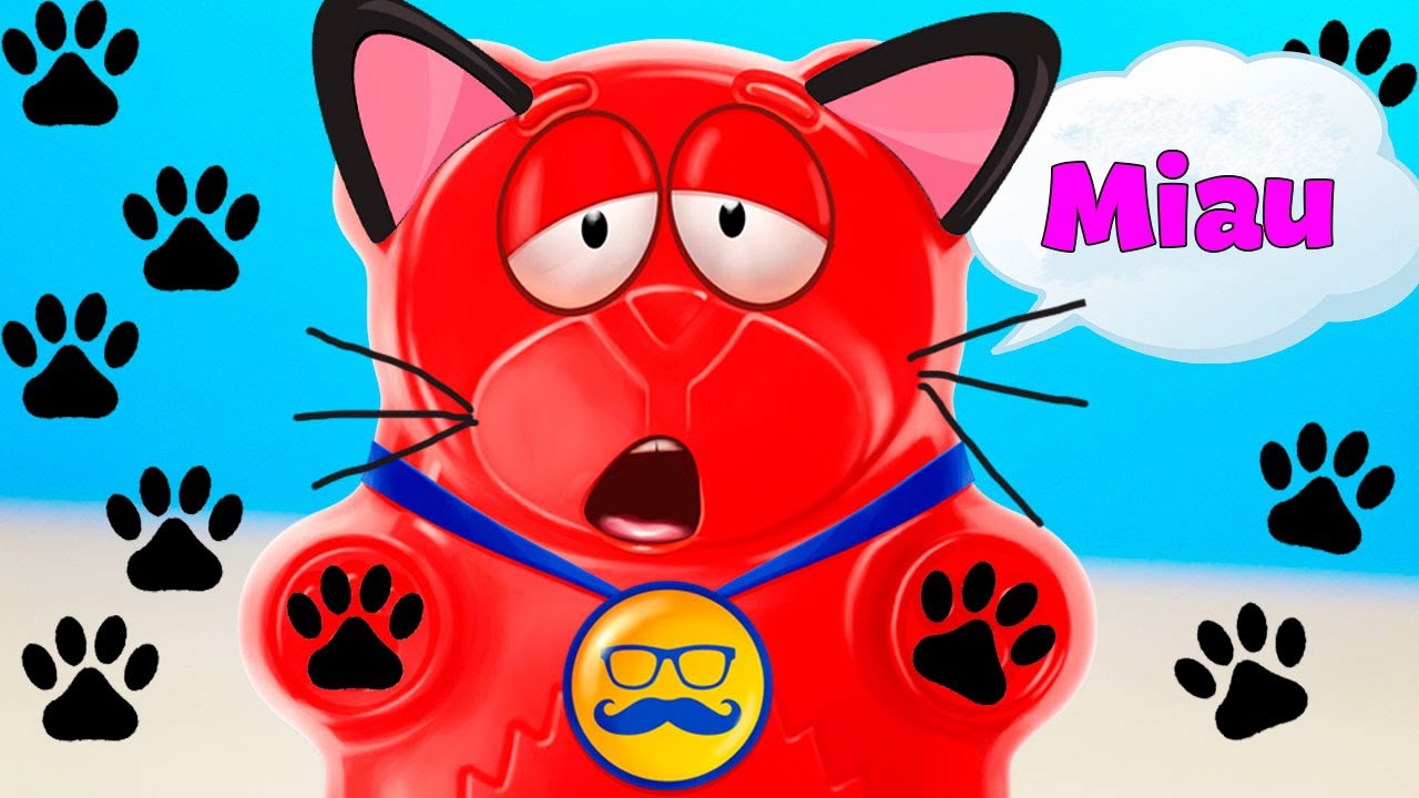 DÍA DEL GATO CON VALERA EL OSO