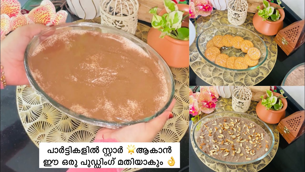വിരുന്നുകാരെ ഞെട്ടിക്കാൻ പുതിയ ഐറ്റം 👌10 മിനിറ്റ് കൊണ്ട് ഈസി പുഡ്ഡിംഗ് 🥰pudding recipe/choco pudding