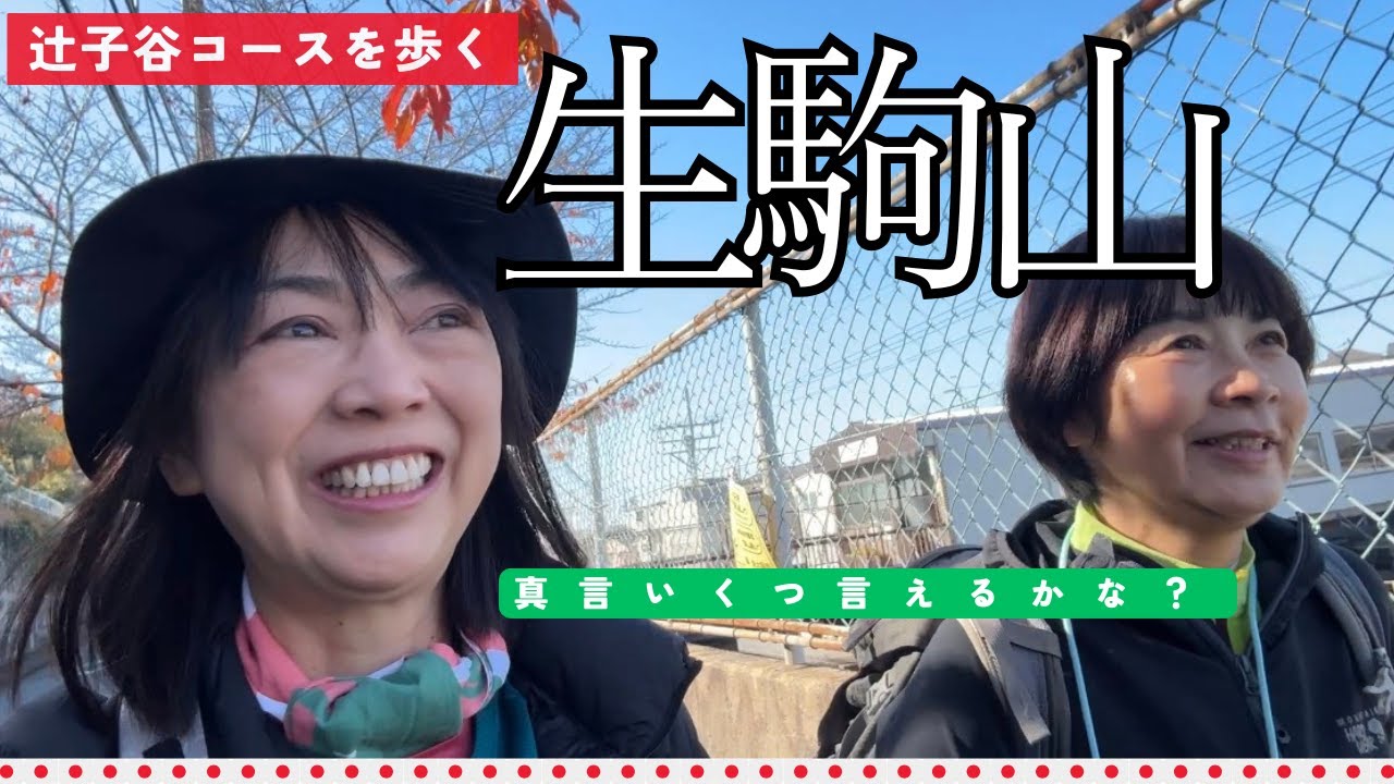 【11月 生駒山】辻子越えコースはお地蔵さんだらけ。生駒ってこんな山だったのか？！修行の山歩き #50代 ＃登山 #歴史の道