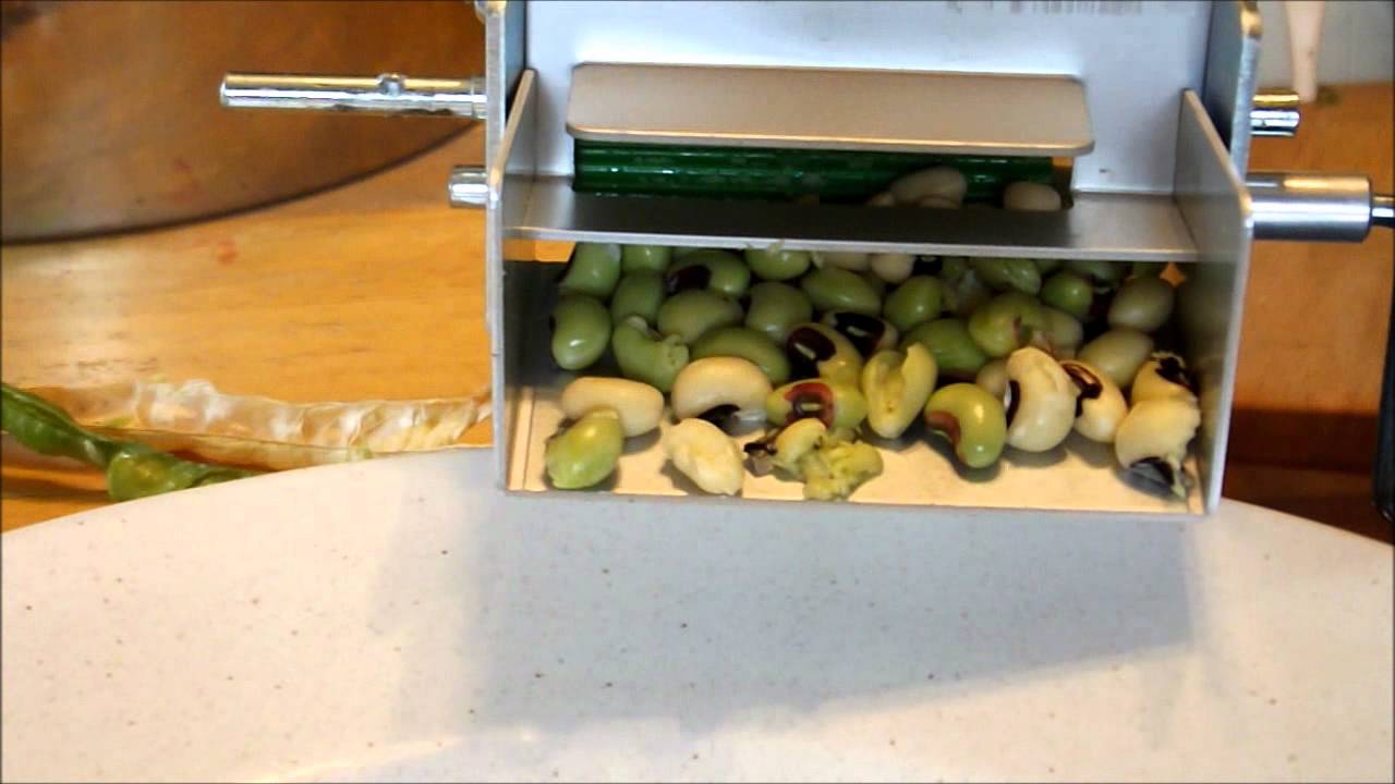 Picking, Shelling Black Eyed Peas with Mr Sheller