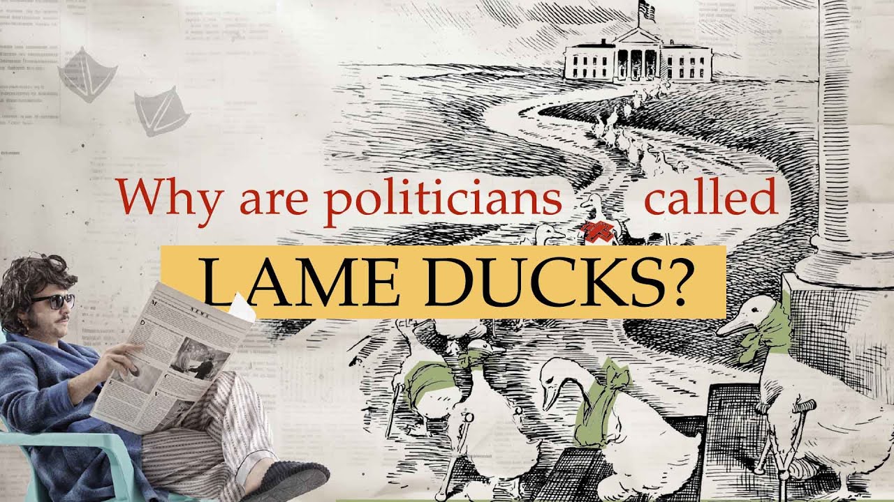 Why are politicians called lame ducks? | VOA News