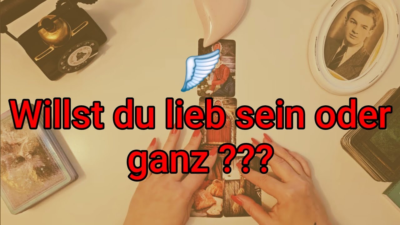 🪽Willst du lieb sein oder ganz  ???#204