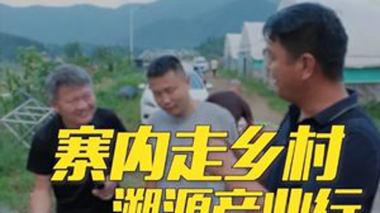 万亩油茶林下的皖西麻黄鸡，老公鸡，老母鸡，童子鸡，你想吃哪一只鸡？（上集）#皖西麻黄鸡  #我来自金寨