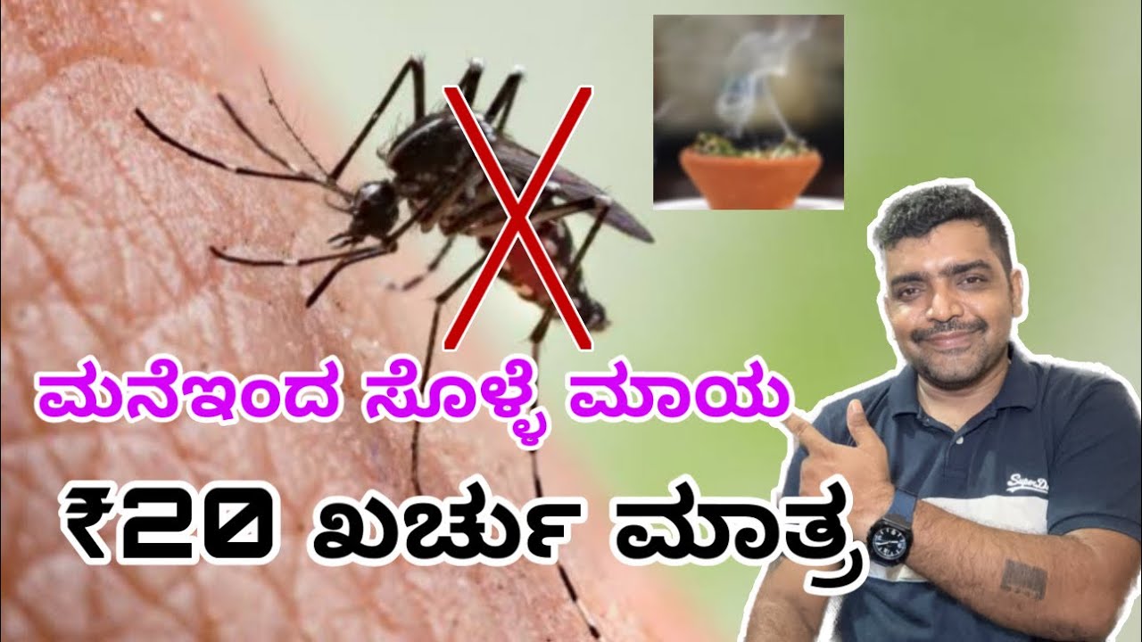 ಇನ್ನಿಲ್ಲ ಸೊಳ್ಳೆ ಕಾಟ । mosquito control | Mosquitoe kill home remedy
