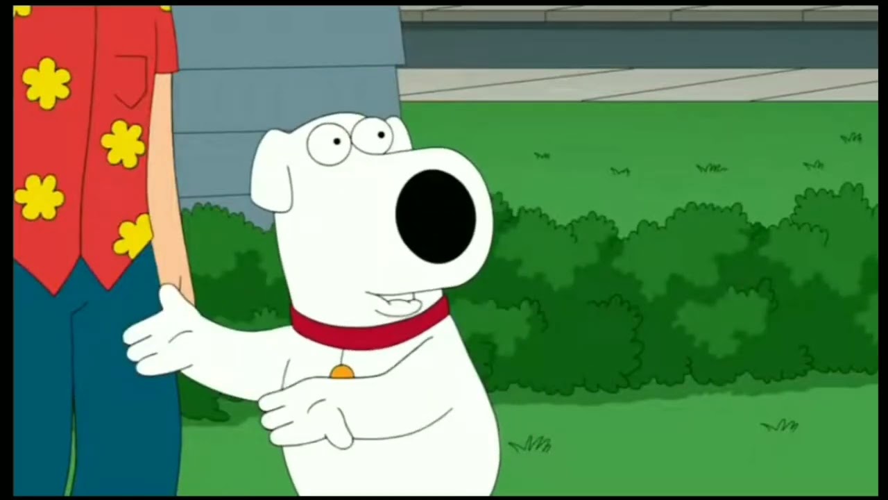 Family Guy family football Brian's Quagmire's stepdad