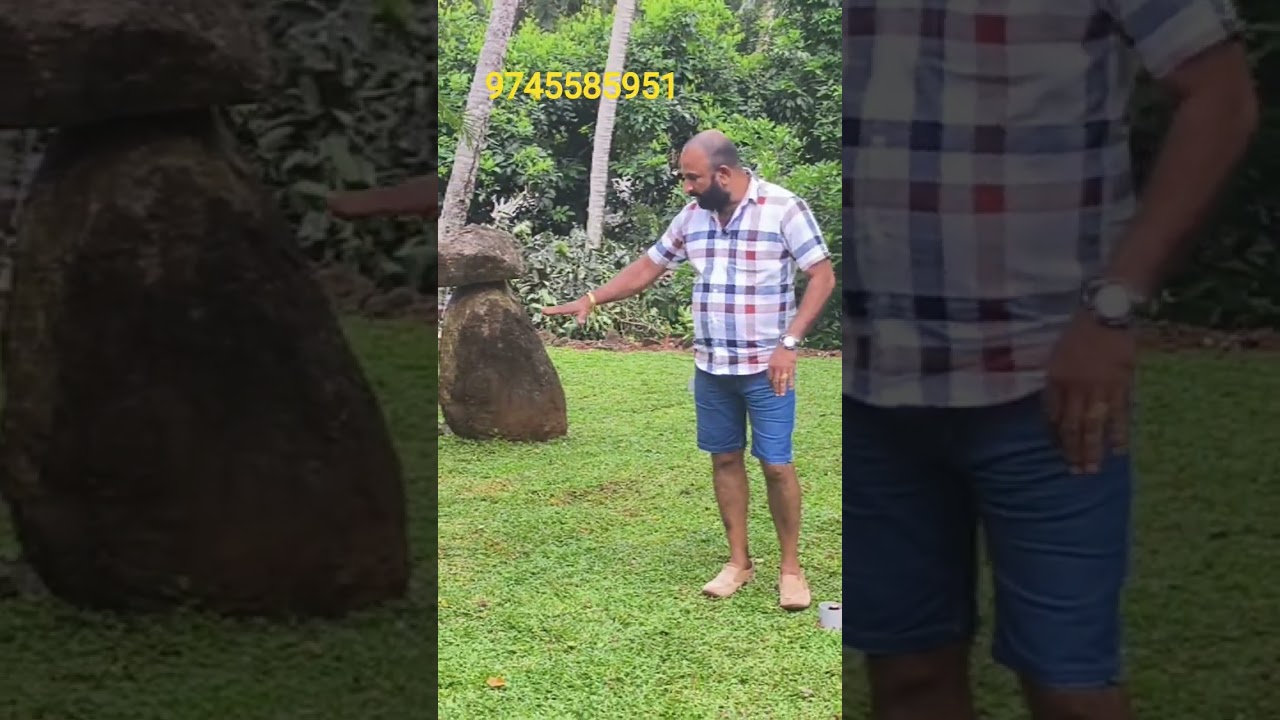 KERALA STONE'S AND GARDEN PALA 9745585951
